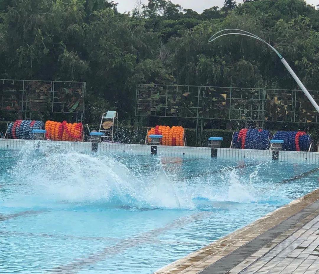 戴思樂游泳館,戴思樂泳池，游泳館運營管理