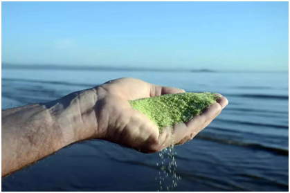 別墅泳池，別墅泳池設(shè)備，別墅泳池設(shè)備有哪些類型？