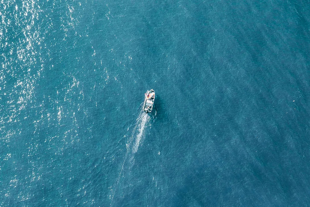 <b>官宣：戴思樂(lè)集團(tuán)用戶(hù)中心重磅升級(jí)！</b>