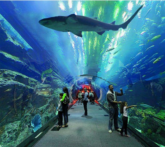 <b>海洋館水質(zhì)如何處理？水處理系統(tǒng)是關(guān)鍵！</b>
