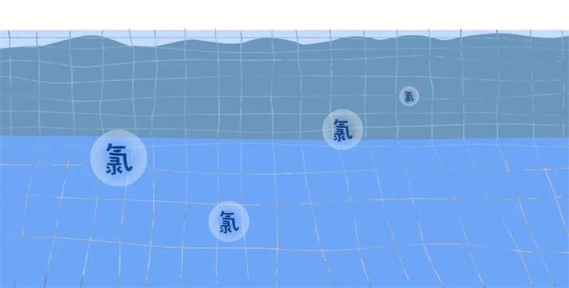 <b>游泳池中的氯對人體有哪些危害？泳池專家告訴你！</b>