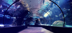 海洋館維生系統(tǒng)是什么？其作用是?