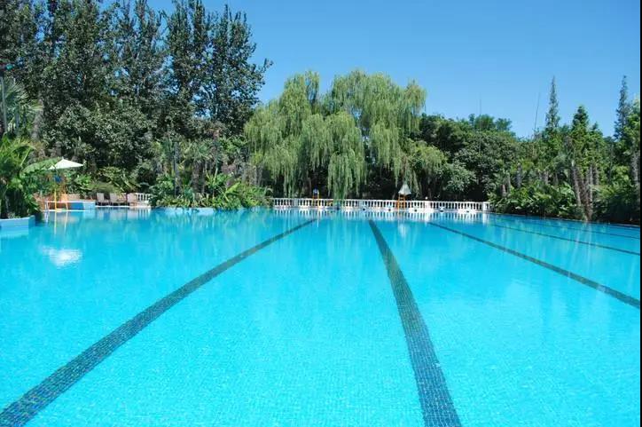 <b>游泳池水處理的流程與步驟？</b>