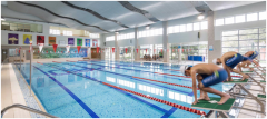 <b>疫情催生健康需求，低氯泳池讓你健康安心暢游！</b>