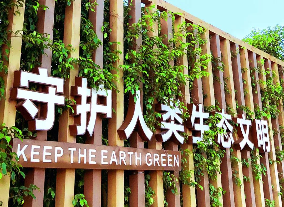 戴思樂(lè)董事長(zhǎng)專(zhuān)訪，戴思樂(lè)水處理技術(shù)，戴思樂(lè)泳池設(shè)備