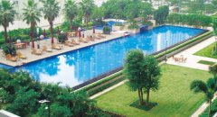 泳池水渾濁怎么辦？