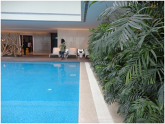 別墅建泳池或魚池，別糾結(jié)了，先來看看兩者的區(qū)別再決定！