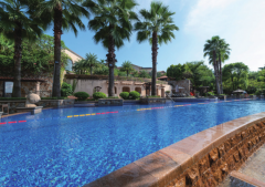 游泳池水處理技術目前可以做到無氯的標準嗎