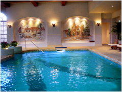 泳池水泵品牌哪家好，如何選型？