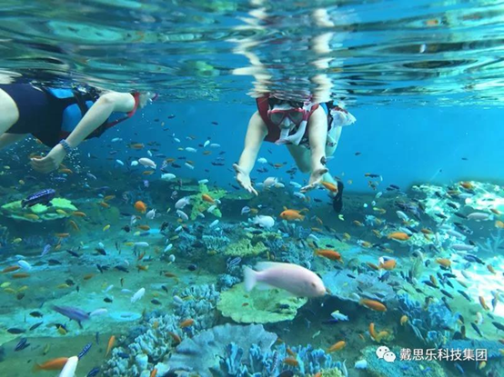 海洋浮潛館，海洋館設(shè)備