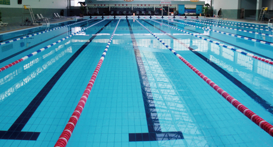 室內(nèi)泳池夏季也要除濕嗎？