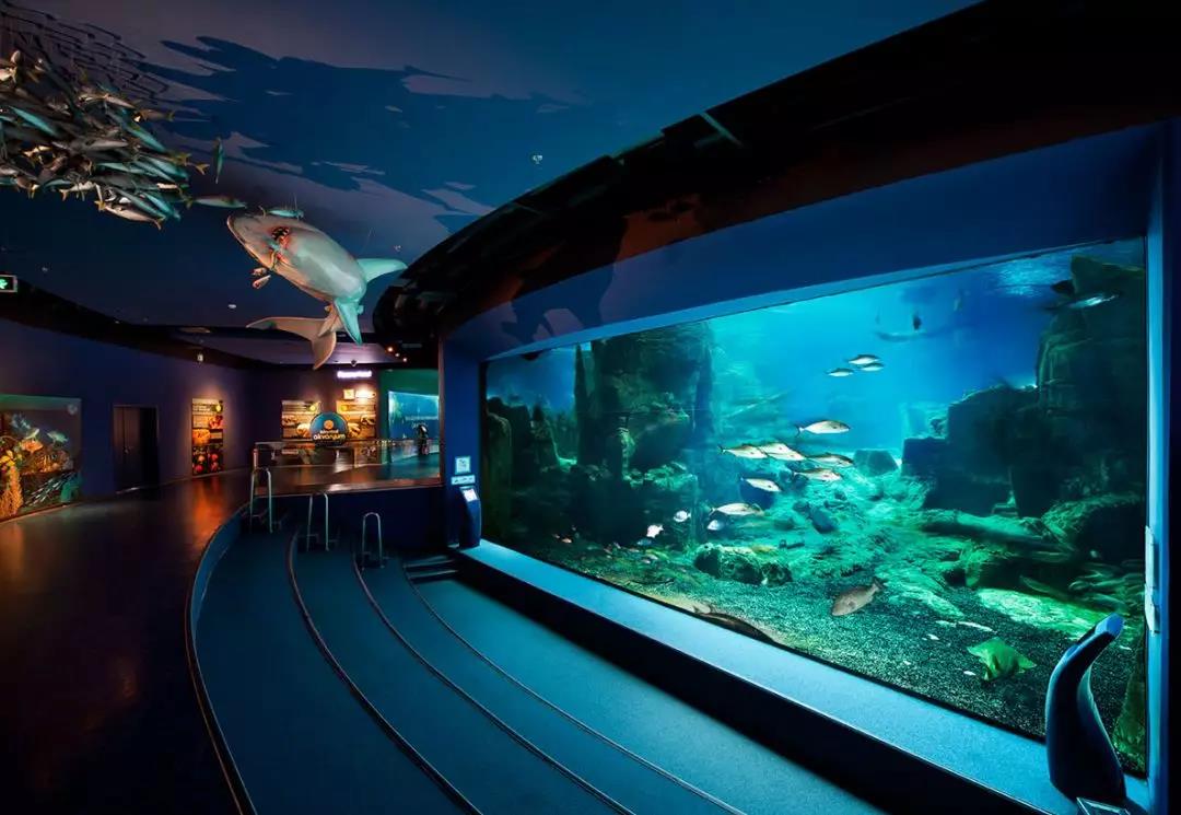 如何為海洋館打造健康生態(tài)的水環(huán)境？