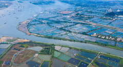 保證水質(zhì)還高產(chǎn)！那是因?yàn)轸~(yú)苗養(yǎng)殖戶都用上了“它”！