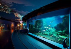 水族館的建設過程中需要考慮哪些因素？需要哪些設備呢？