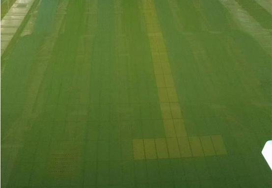 解決游泳池水質(zhì)渾濁的四大策略，歡迎查閱！