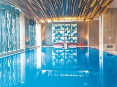 戴思樂(lè)游泳池不銹鋼過(guò)濾器，游泳池水質(zhì)的守護(hù)者，耐用與效率并存！