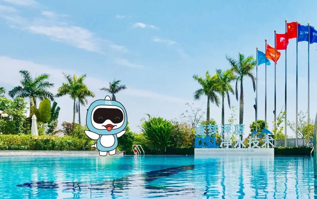 <b>泳池水清澈見底的秘密，游泳池水龜大揭秘？</b>