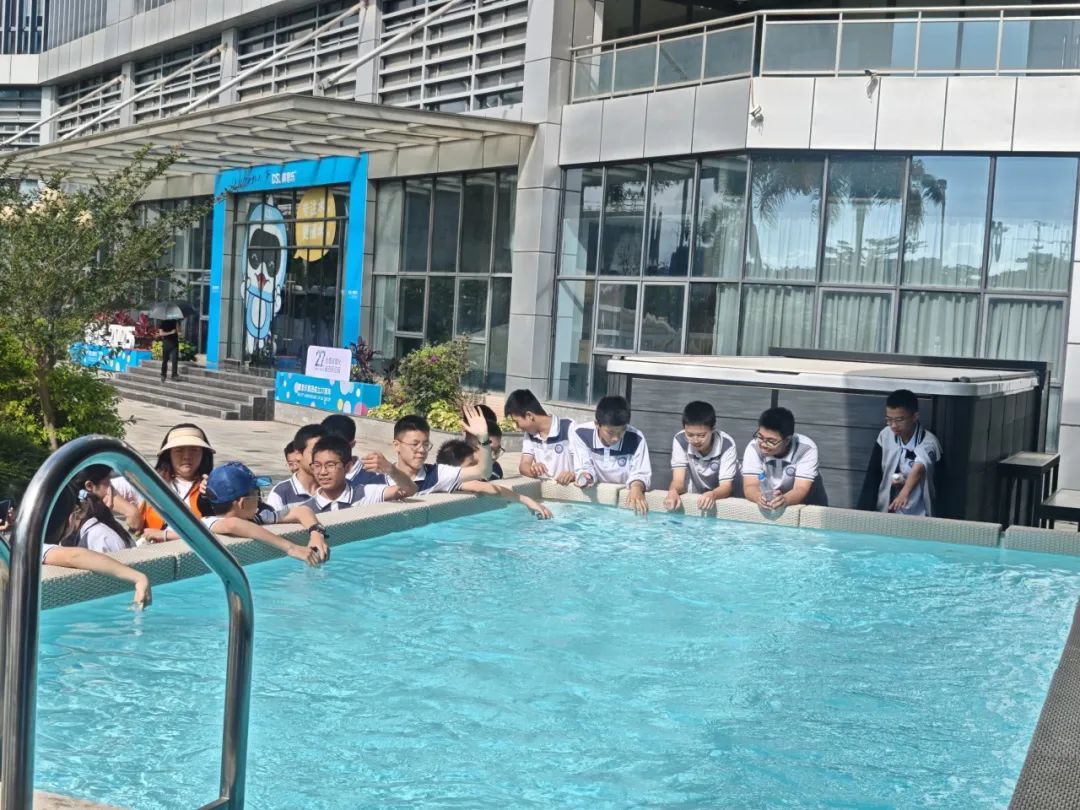 戴思樂集團,戴思樂