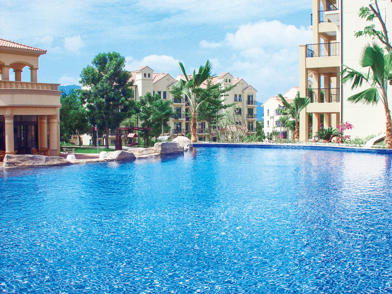 無線游泳池水龜哪家好？