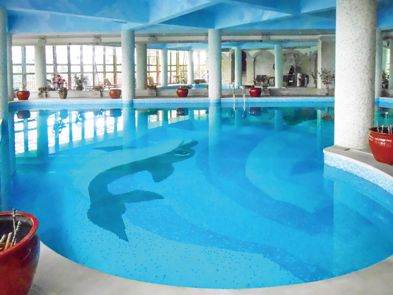 游泳池水變綠又渾濁是什么原因？一文看懂解決思路