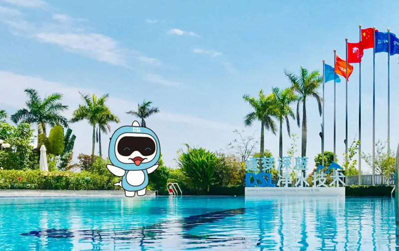 <b>別墅游泳池設(shè)備廠家哪家好？怎么選？</b>